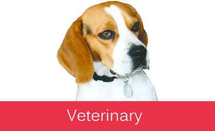 Veterinary Pharmacy Cervelló